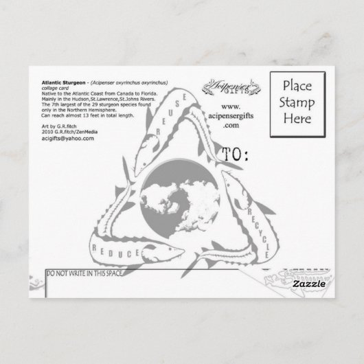 Atlantic Sturgeon-Collage-Postcard Postkarte (Rückseite)