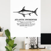 Atlantic Swordfish Scientific Illustration  Poster (Heimbüro)
