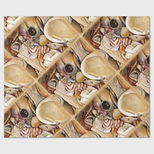 Atlantik-Muscheln Geschenkpapier (Flach)