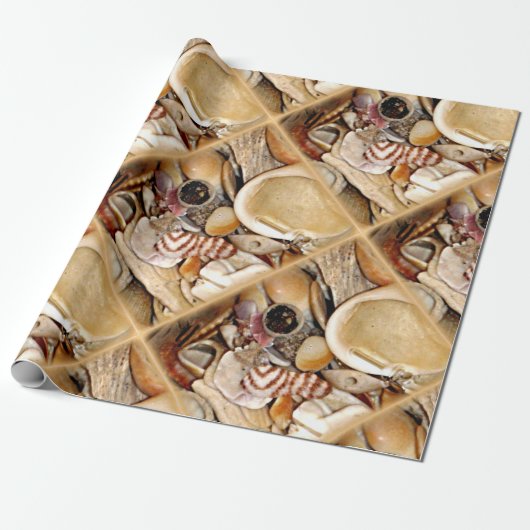 Atlantik-Muscheln Geschenkpapier (Ungerollt)
