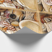 Atlantik-Muscheln Geschenkpapier (Ecke)