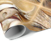 Atlantik-Muscheln Geschenkpapier (Rolleneckpunkt)