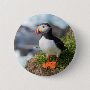 Atlantik Puffin Button