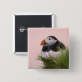 Atlantik-Puffin (Fatercula arctica) 6 Button (Vorne & Hinten)