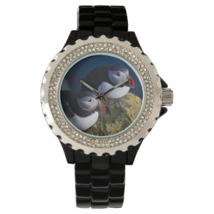 Atlantik-Puffin (Fratercula arctica) 7 Armbanduhr