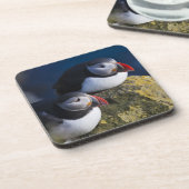 Atlantik-Puffin (Fratercula arctica) 7 Getränkeuntersetzer (Linke Seite)
