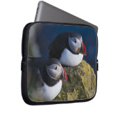 Atlantik-Puffin (Fratercula arctica) 7 Laptopschutzhülle (Vorne Rechts)