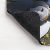Atlantik-Puffin (Fratercula arctica) 7 Mousepad (Ecke)