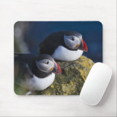 Atlantik-Puffin (Fratercula arctica) 7 Mousepad (Mit Mouse)