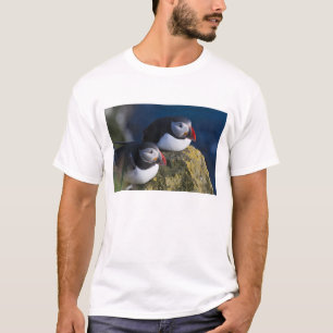 Atlantik-Puffin (Fratercula arctica) 7 T-Shirt