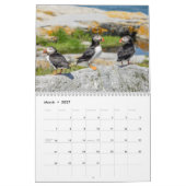 Atlantik-Puffins-Kalender 2021 Kalender (Mär 2027)