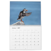 Atlantik-Puffins-Kalender 2021 Kalender (Jan 2027)