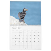 Atlantik-Puffins-Kalender 2021 Kalender (Feb 2027)