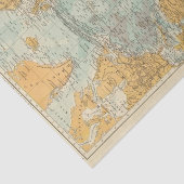 Atlantisch Seidenpapier (Ausschnitt)