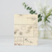 Atlantische Inseln Postkarte (Stehend Vorderseite)