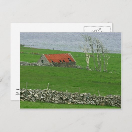 Atlantische Küstenweide, Irland Postkarte (Vorne/Hinten)