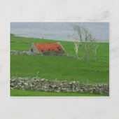 Atlantische Küstenweide, Irland Postkarte (Vorderseite)