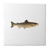 Atlantische Lachse Fliese (Vorderseite)