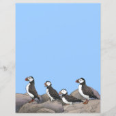 Atlantische Puffen (Rückseite)