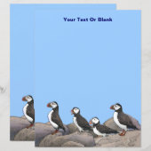 Atlantische Puffen (Vorne/Hinten)