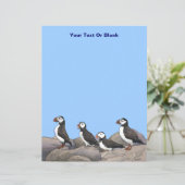 Atlantische Puffen (Stehend Vorderseite)