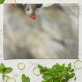 Atlantische Puffen auf der Insel Machias Siegel Handtuch (Gefaltet)