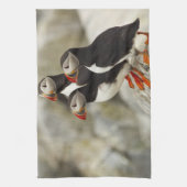 Atlantische Puffen auf der Insel Machias Siegel Handtuch (Vertikal)