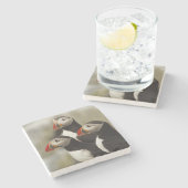 Atlantische Puffen auf der Insel Machias Siegel Steinuntersetzer (Seitenansicht)