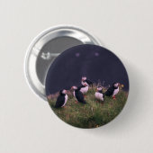 Atlantische Puffen Button (Vorne & Hinten)