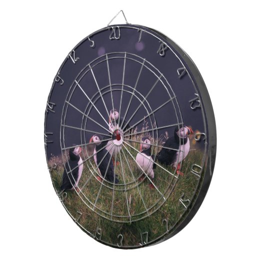 Atlantische Puffen Dartscheibe (Vorderseite rechts)