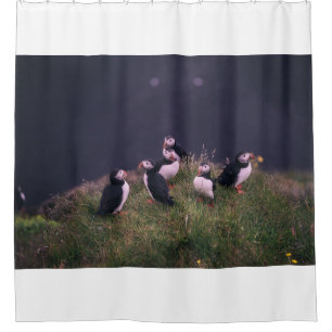 Atlantische Puffen Duschvorhang