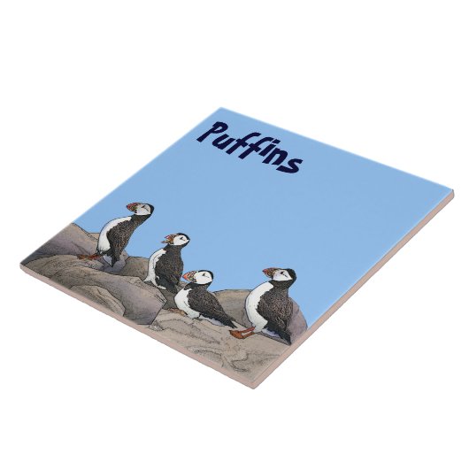 Atlantische Puffen Fliese (Seite)