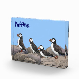 Atlantische Puffen Fotoblock