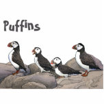 Atlantische Puffen Fotoskulptur Magnet<br><div class="desc">Puffins in der Erholung auf den Felsen. Anpassbare Textauswertung, "Puffins" wird ebenfalls angezeigt. Der Atlantische Puffin (Fratercula arctica) füttre vor allem durch Tauchen im Wasser. Sie züchten sich in großen Kolonien auf Küstensteilküsten oder vor der Küste gelegenen Inseln im Nordatlantik. Puffins vergossen die farbenfrohen äußeren Teile ihrer Rechnungen nach der...</div>