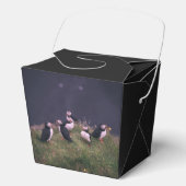 Atlantische Puffen Geschenkschachtel (Vorderseite)