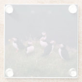 Atlantische Puffen Glasuntersetzer (Rückseite)