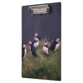 Atlantische Puffen Klemmbrett (Links)