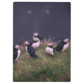 Atlantische Puffen Klemmbrett (Rückseite)