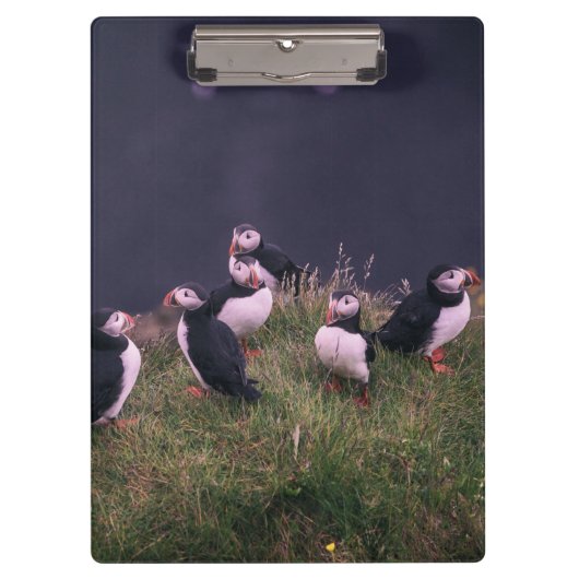 Atlantische Puffen Klemmbrett (Vorderseite)