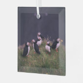 Atlantische Puffen Ornament Aus Glas (Vorderseite links)