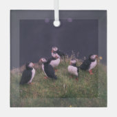 Atlantische Puffen Ornament Aus Glas (Vorderseite)