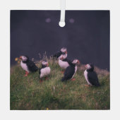 Atlantische Puffen Ornament Aus Glas (Rückseite)