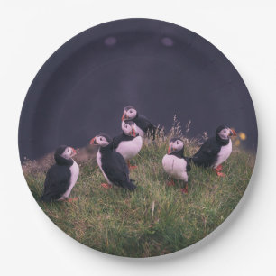 Atlantische Puffen Pappteller