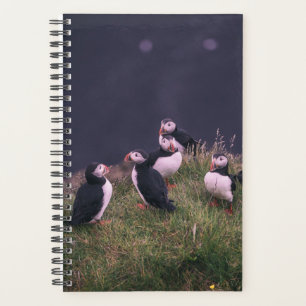 Atlantische Puffen Planer