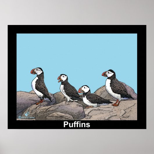 Atlantische Puffen Poster (Vorne)