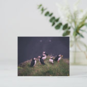 Atlantische Puffen Postkarte (Stehend Vorderseite)