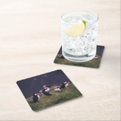 Atlantische Puffen Rechteckiger Pappuntersetzer (Vor Ort)