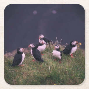 Atlantische Puffen Rechteckiger Pappuntersetzer