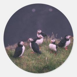 Atlantische Puffen Runder Aufkleber