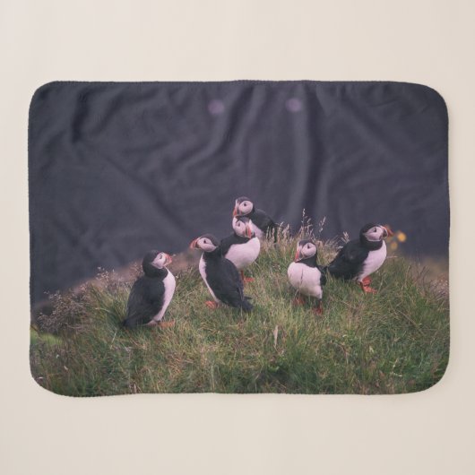 Atlantische Puffen Sherpadecke (Vorderseite (Horizontal))
